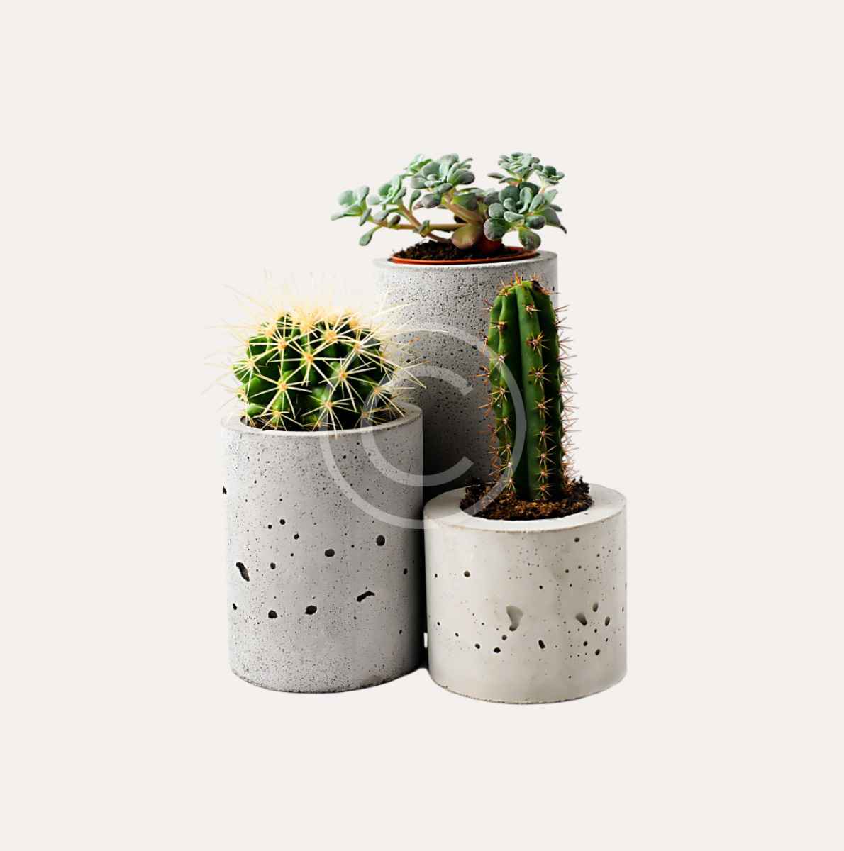 product-image12-copyright